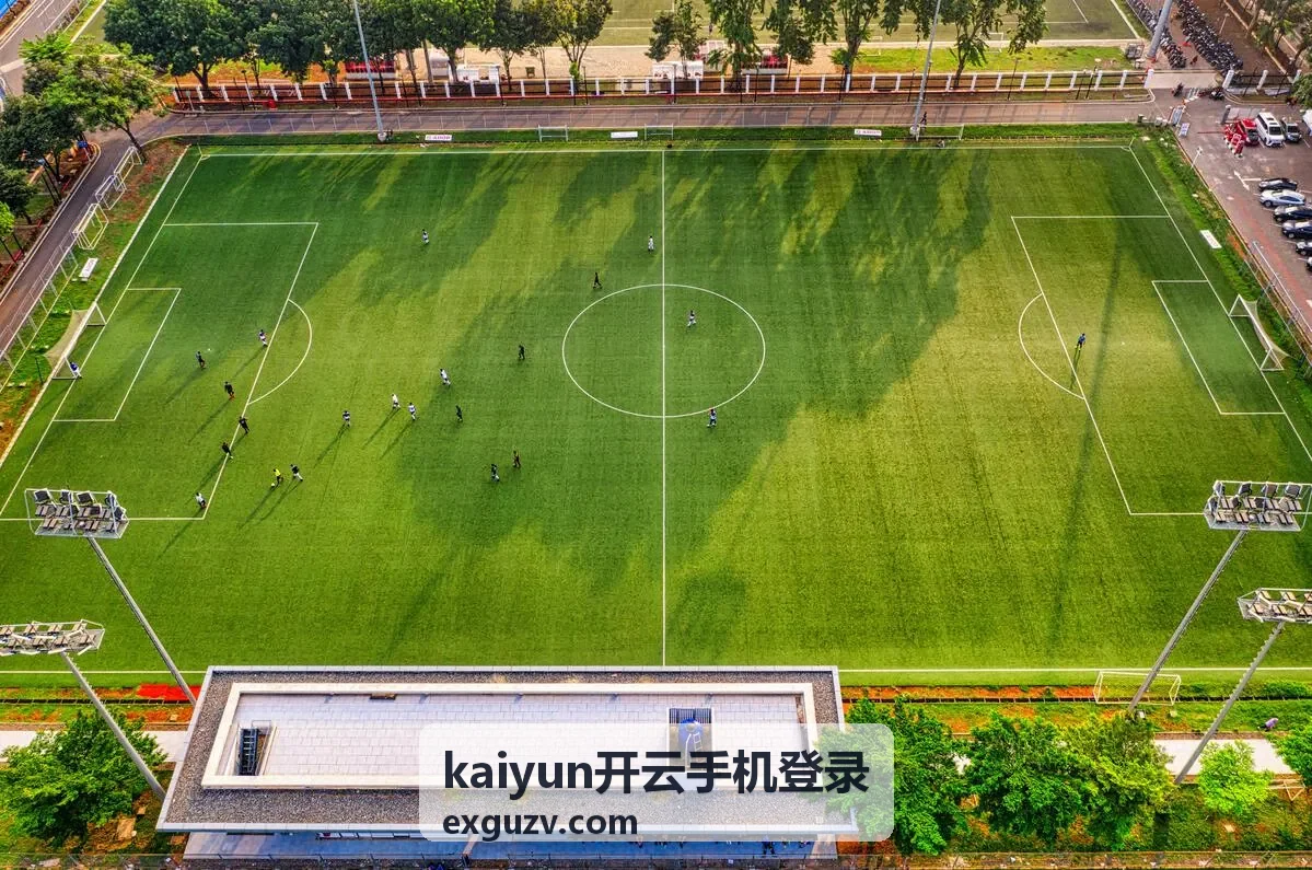 kaiyun开云手机版本功能说明图