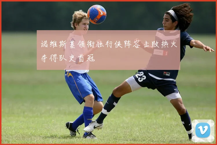 诺维斯基领衔独行侠阵容击败热火夺得队史首冠