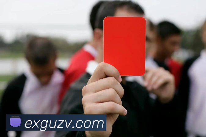 世界杯体育app官网发展历程